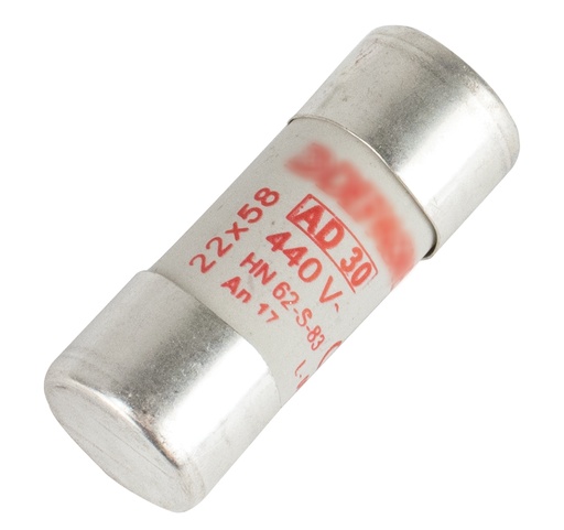 [MICN201] CARTOUCHE FUSIBLE 22X58 AD 30A 6942626